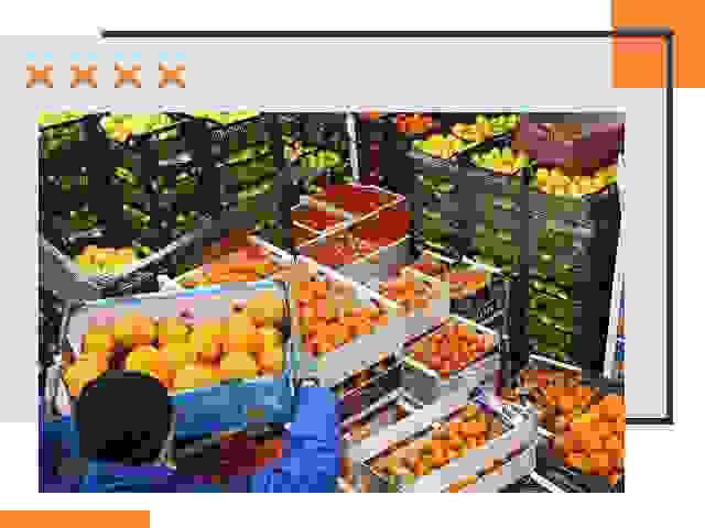 Перевозка скоропортящихся продуктов в Дзержинске